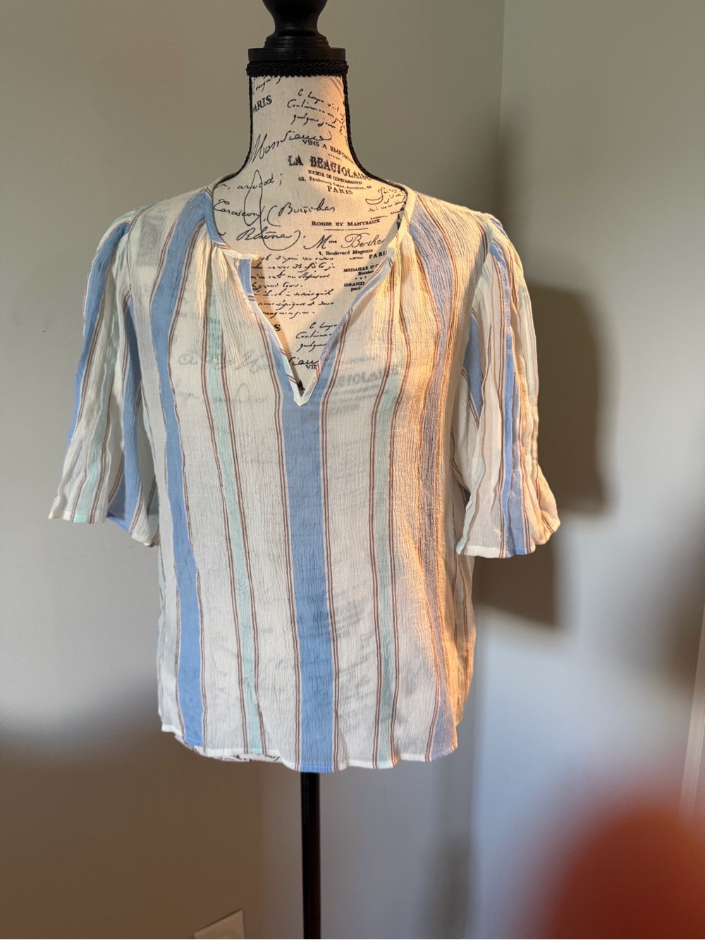 Striped V-Neck Short Sleeve Top in Blue and White